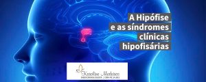 A Glândula Hipófise, também chamada de Pituitária, é uma pequena glândula localizada na base do crânio que possui extrema importância no controle do funcionamento das outras glândulas endócrinas.